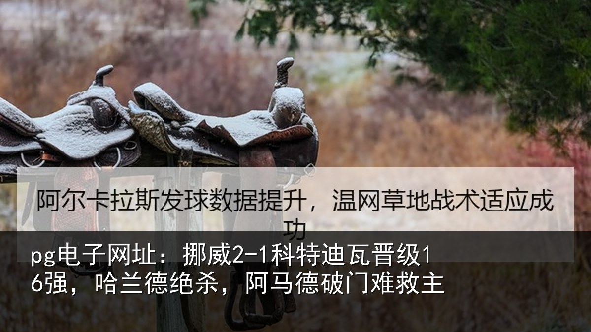 pg电子网址：挪威相关情况兰德相关情况救主