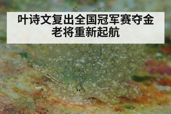 叶诗文复出全国冠军赛夺金老将重新起航